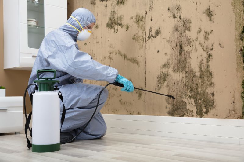 Remove Mold and Mildew
