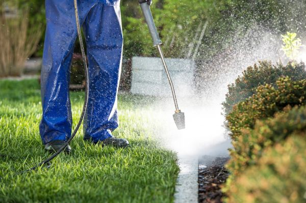 Curb Cleaning in Ashburn