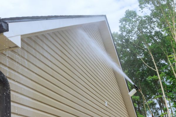 Siding Cleaning Service in Ashburn